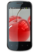 Best available price of Celkon A19 in Poland