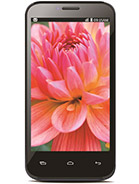 Best available price of Lava Iris 505 in Poland