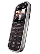 Best available price of Motorola WX288 in Poland