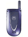 Best available price of Motorola V66i in Poland